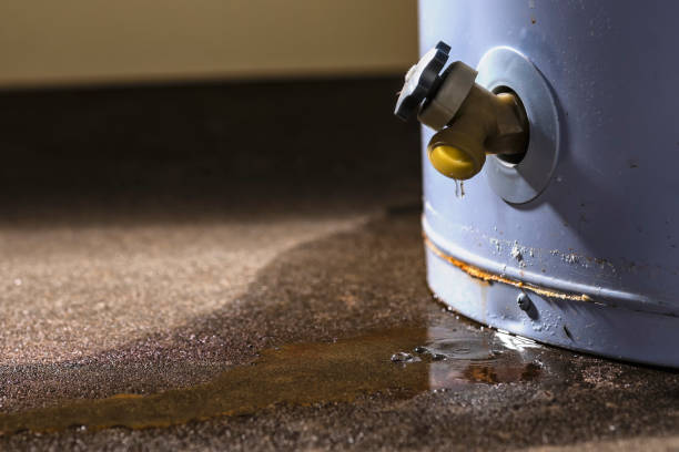 Best Flooded house restoration  in Mason, TN
