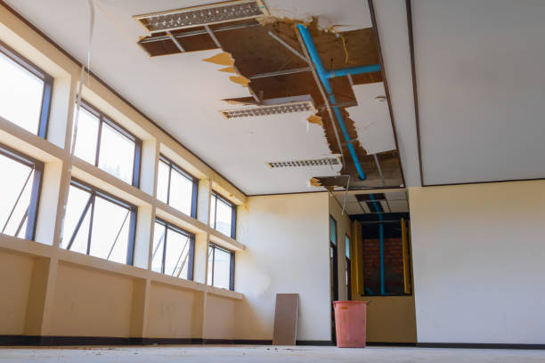 Best Flood restoration services  in Mason, TN