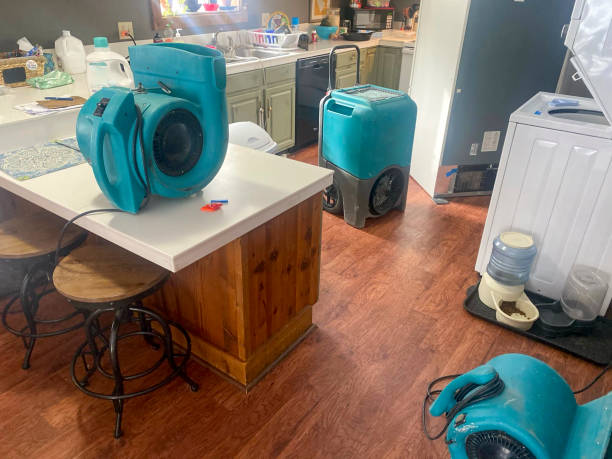 Best Water damage restoration near me  in Mason, TN
