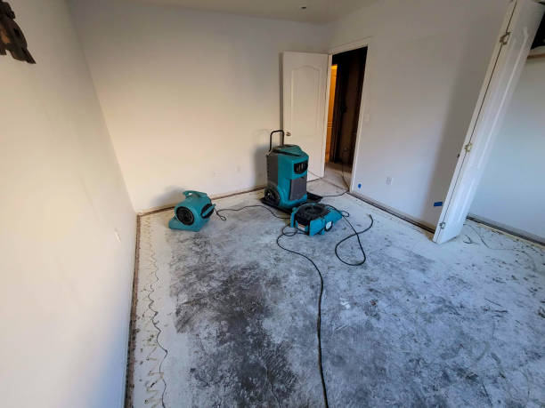 Best Sewage cleanup and water damage restoration  in Mason, TN