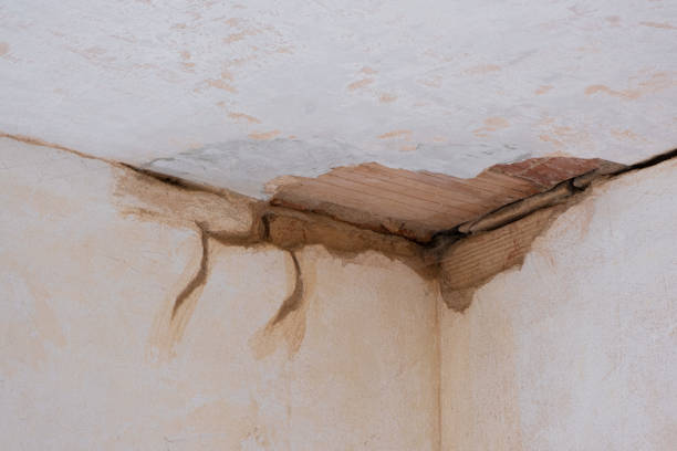 Best Water damage restoration company  in Mason, TN