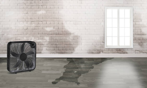  Mason, TN Water damage restoration Pros