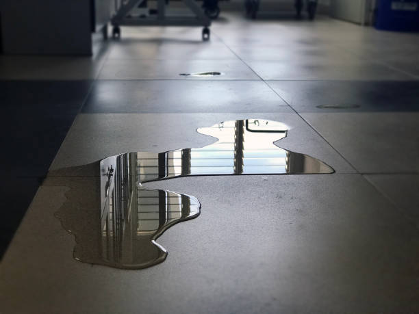 Best Professional water damage repair  in Mason, TN