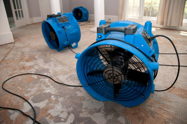 Best 24/7 water damage repair  in Mason, TN