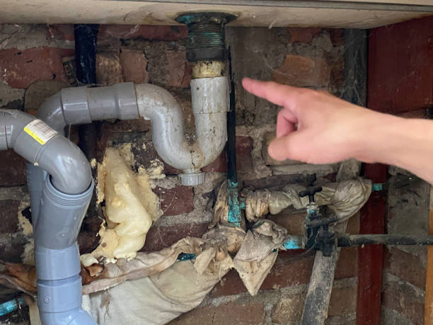 Best Residential water damage restoration  in Mason, TN