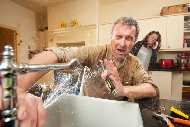 Best Carpet water damage restoration  in Mason, TN